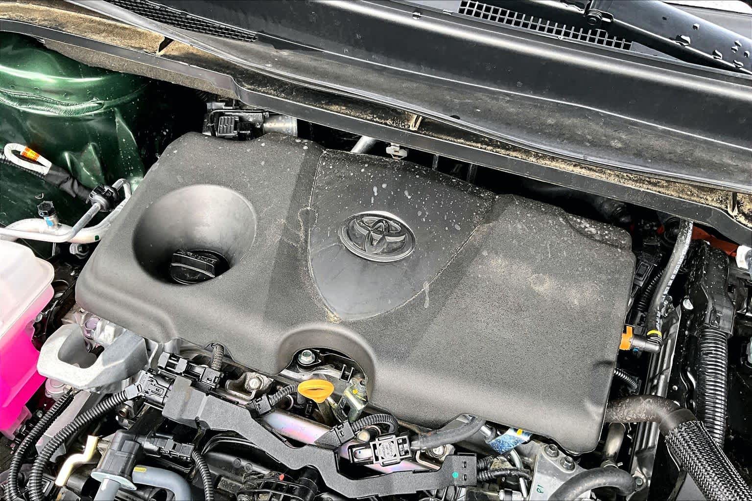 2025 Toyota Sienna Limited Cypress at Group 1 Toyota Southwest