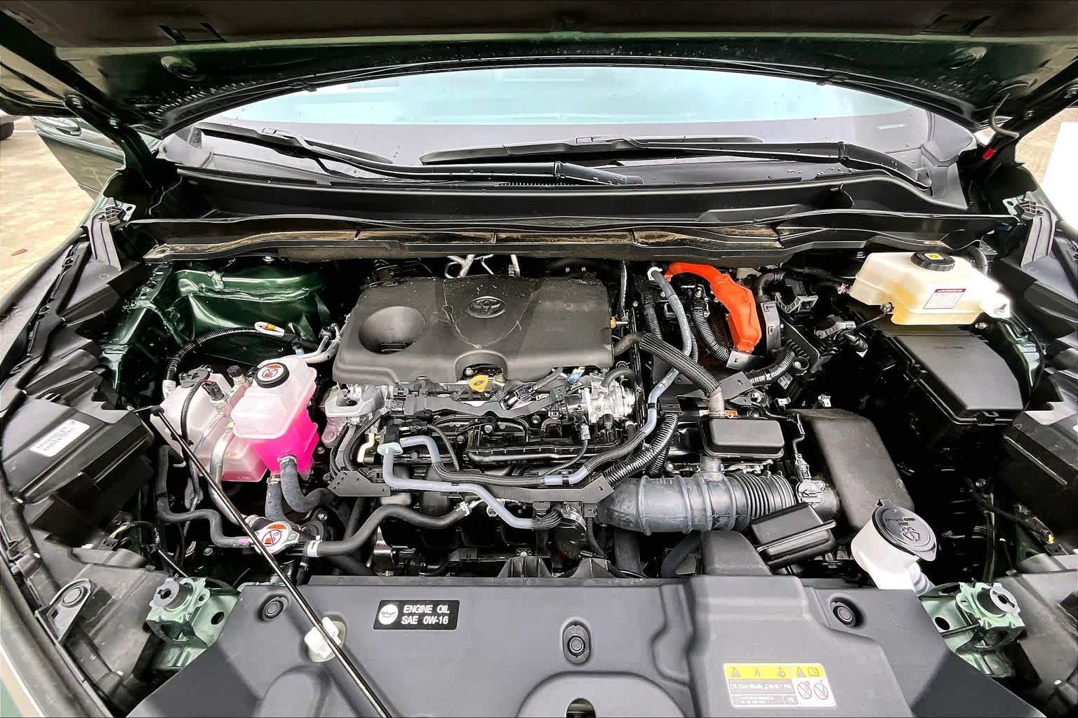 2025 Toyota Sienna Limited Cypress at Group 1 Toyota Southwest