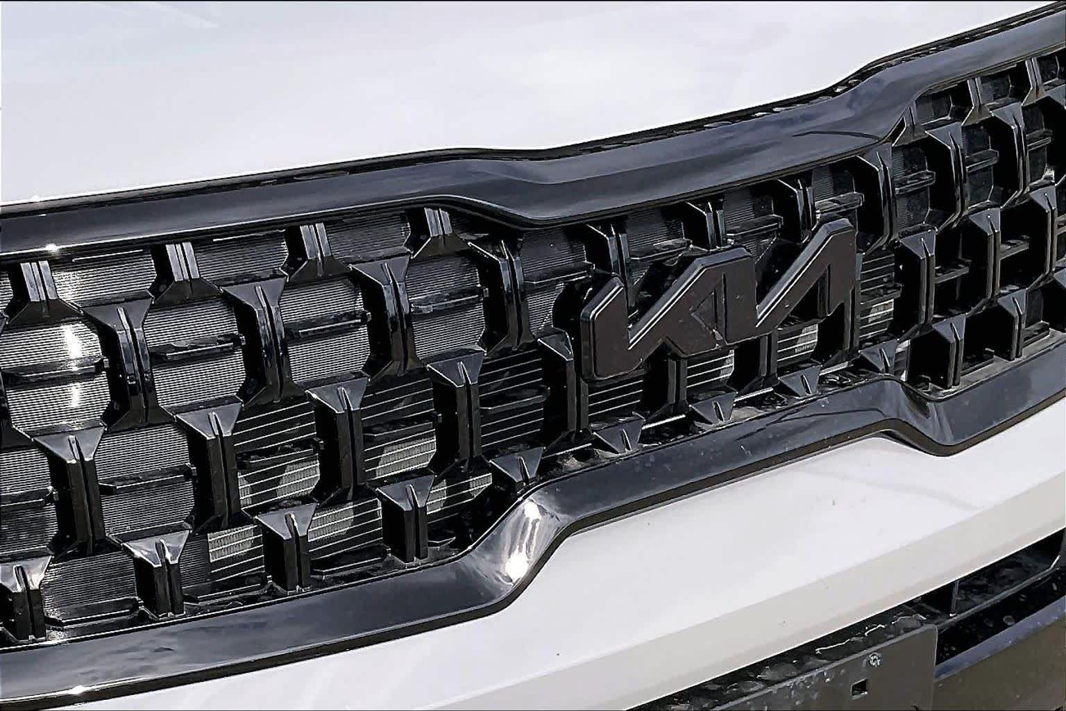 2025 Kia Telluride EX X-Line Wolf Gray at Sterling McCall Nissan