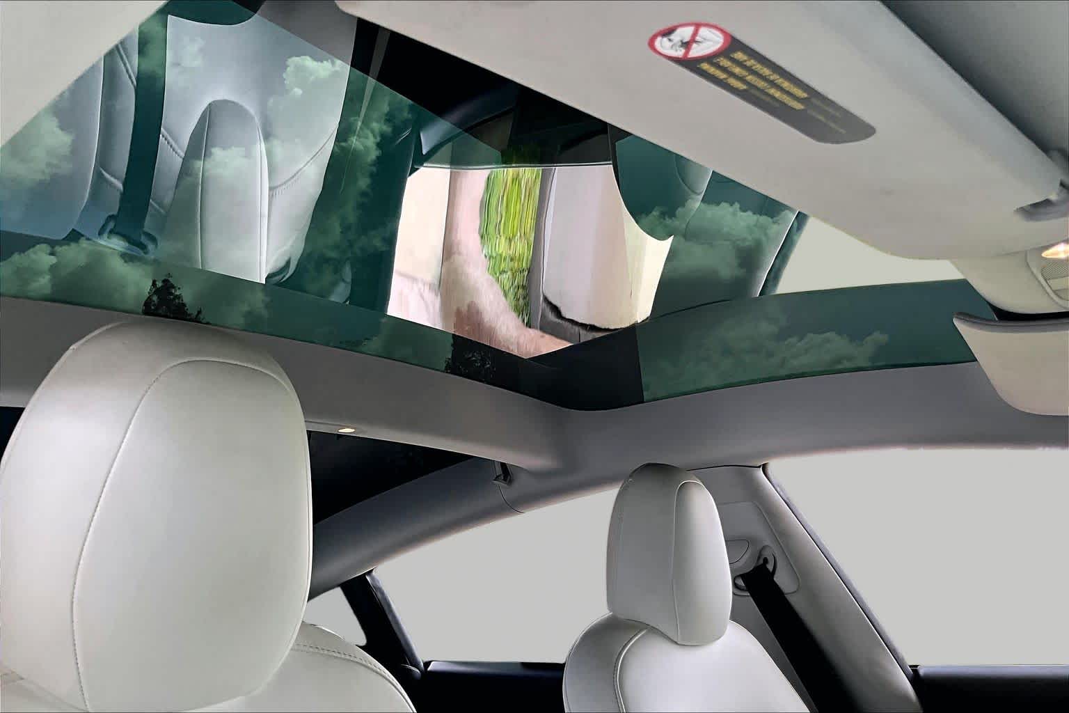 2021 Tesla Model 3 Standard Range Plus - 10