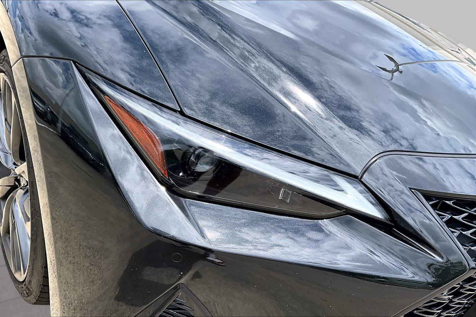 2021 Lexus IS 350 F SPORT  Caviar at Lexus of Clear Lake