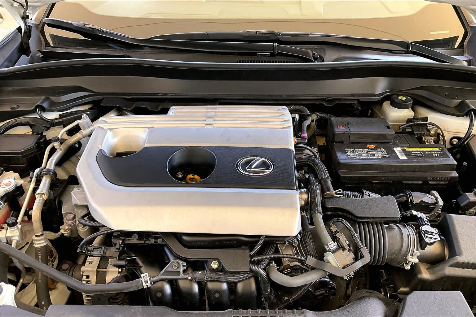 2020 Lexus UX 200 photo 29 of 34