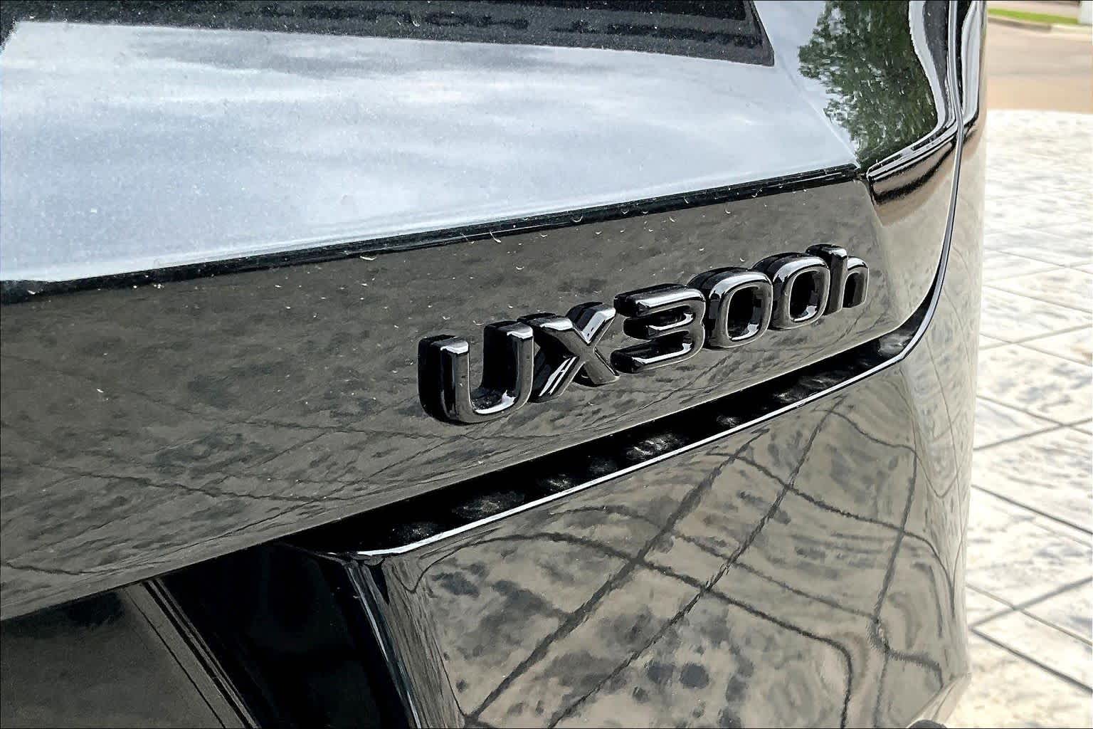 2026 Lexus UX 300h F SPORT Design - 6