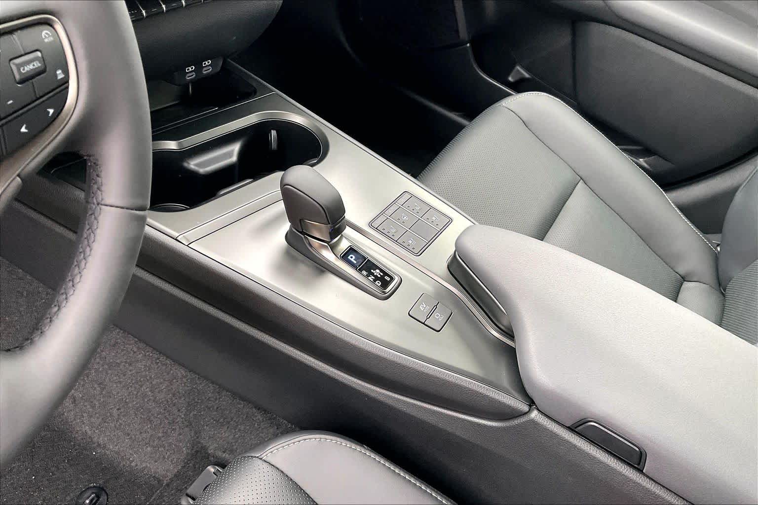 2025 Lexus UX Premium  - 10