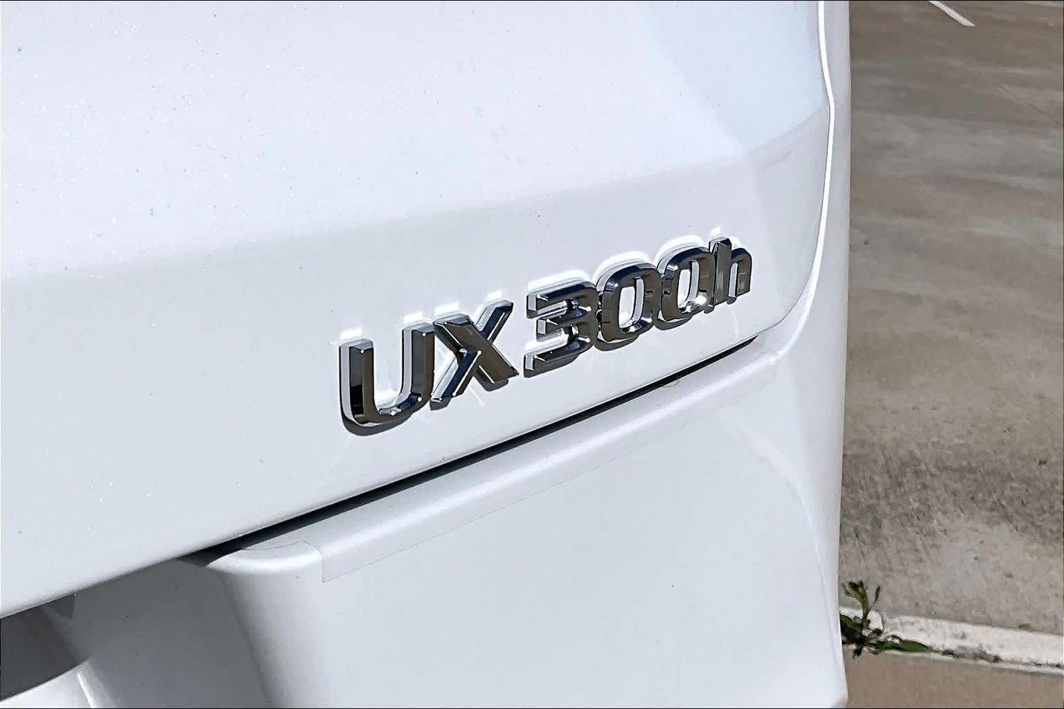 2026 Lexus UX 300h Premium - 6