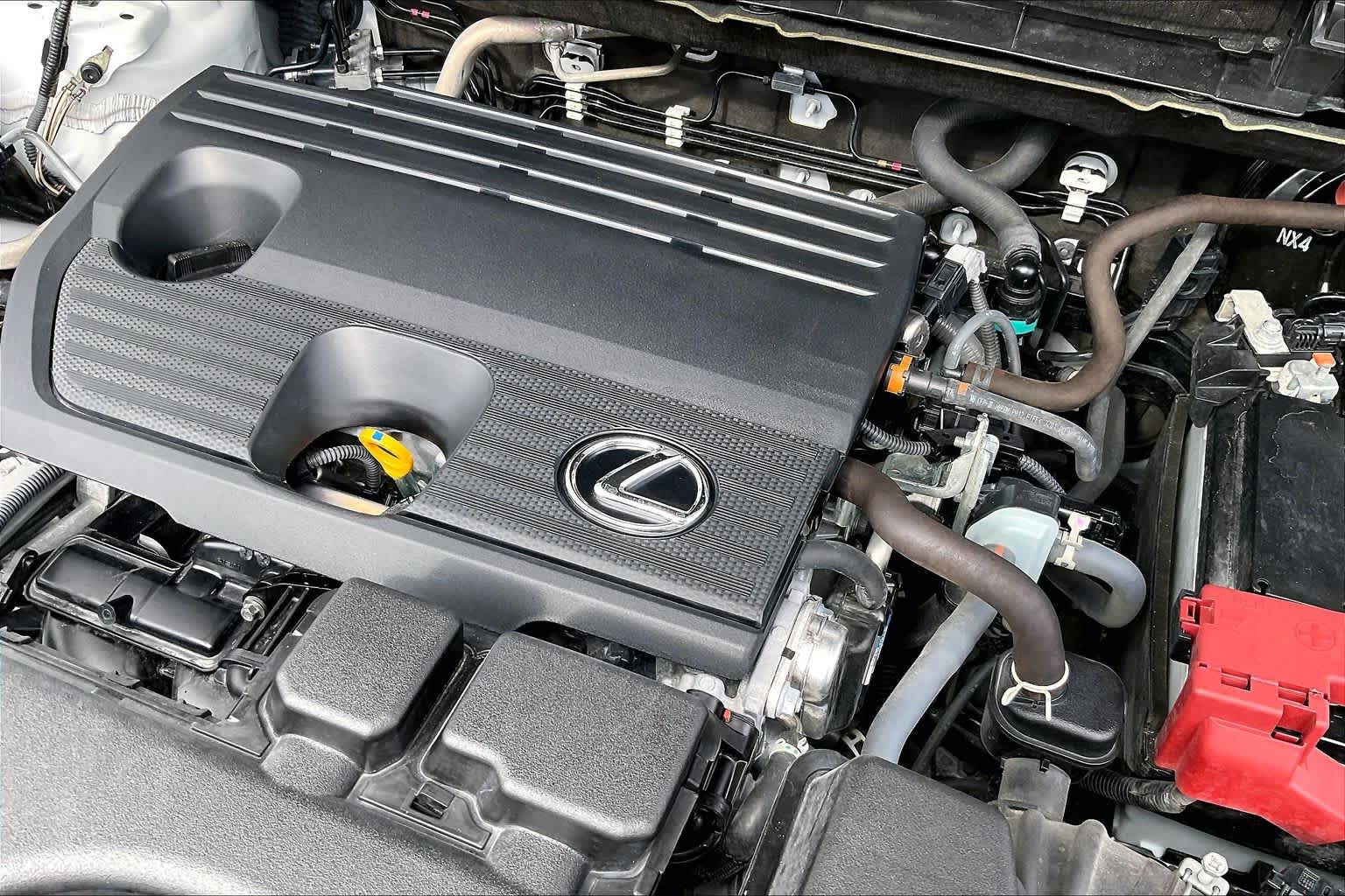 2024 Lexus NX 250  Eminent White Pearl at Lexus of Clear Lake