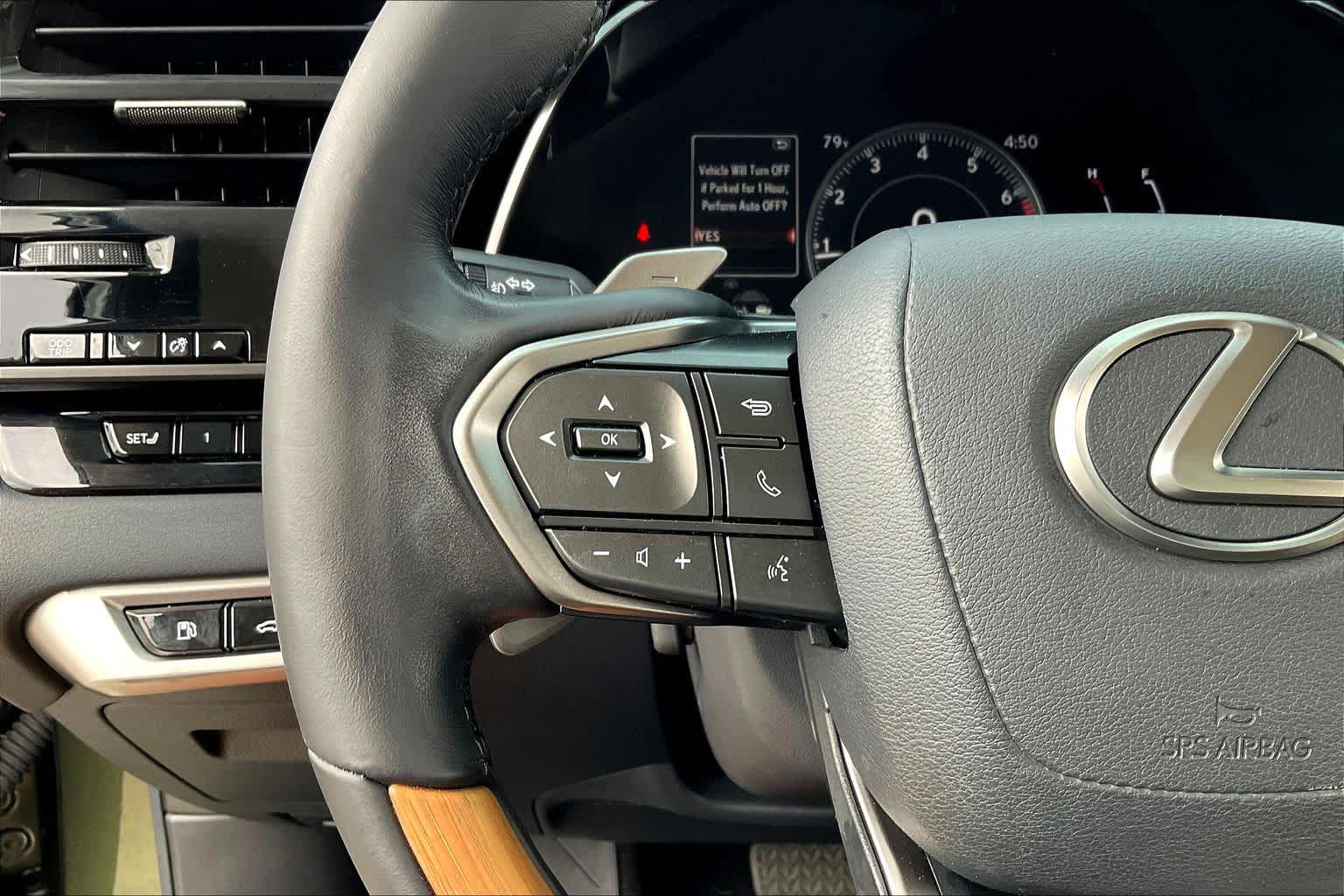 2024 Lexus RX Premium  Nori Green Pearl at Lexus Southwest Houston