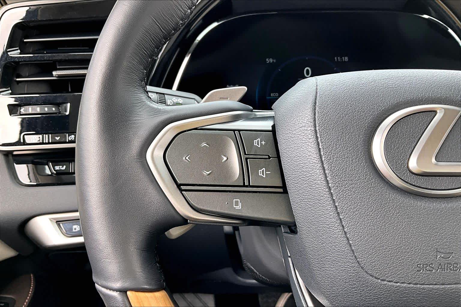 2025 Lexus RX Luxury  Iridium at Lexus of Clear Lake