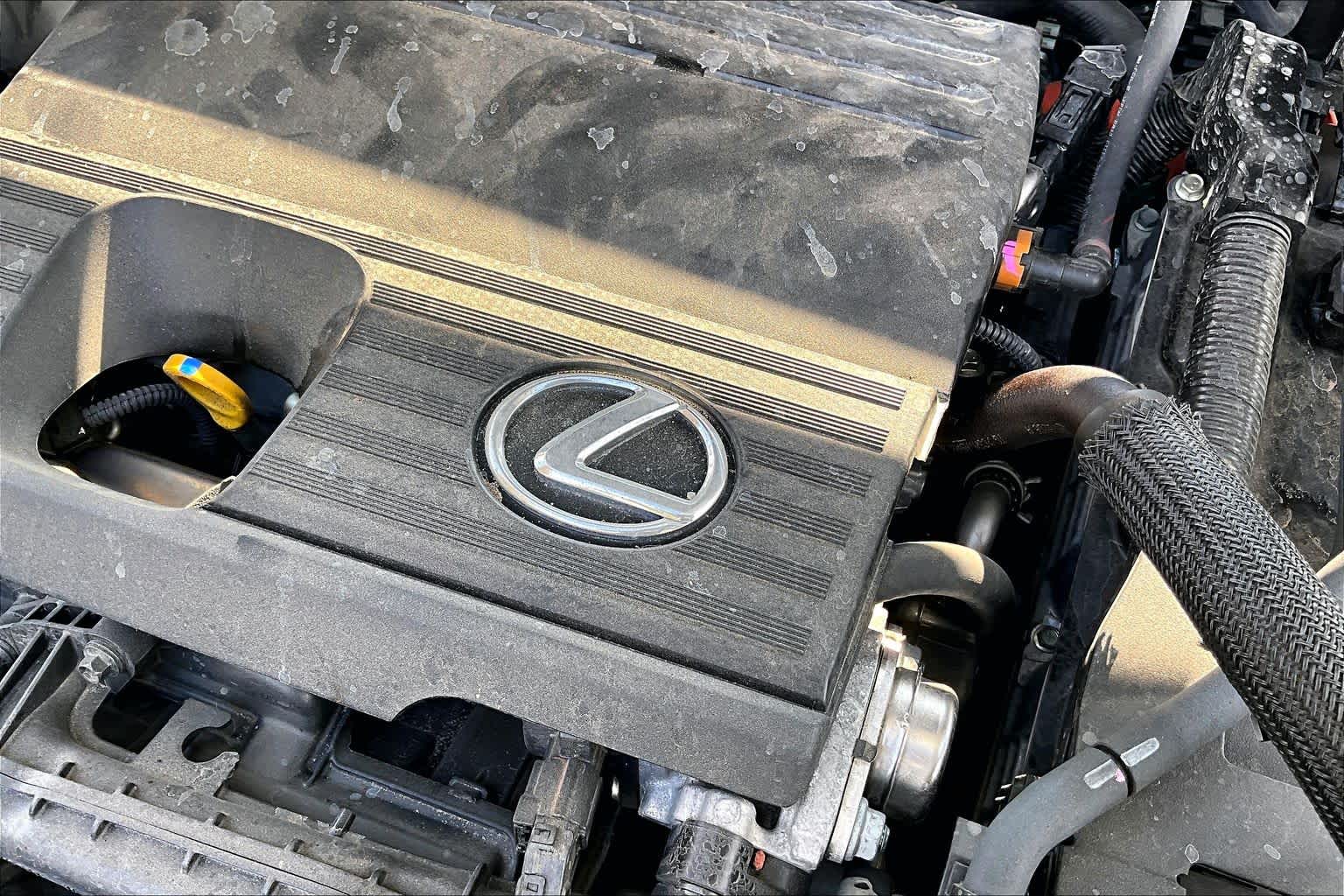 2023 Lexus NX Premium  Eminent White Pearl at Lexus Southwest Houston