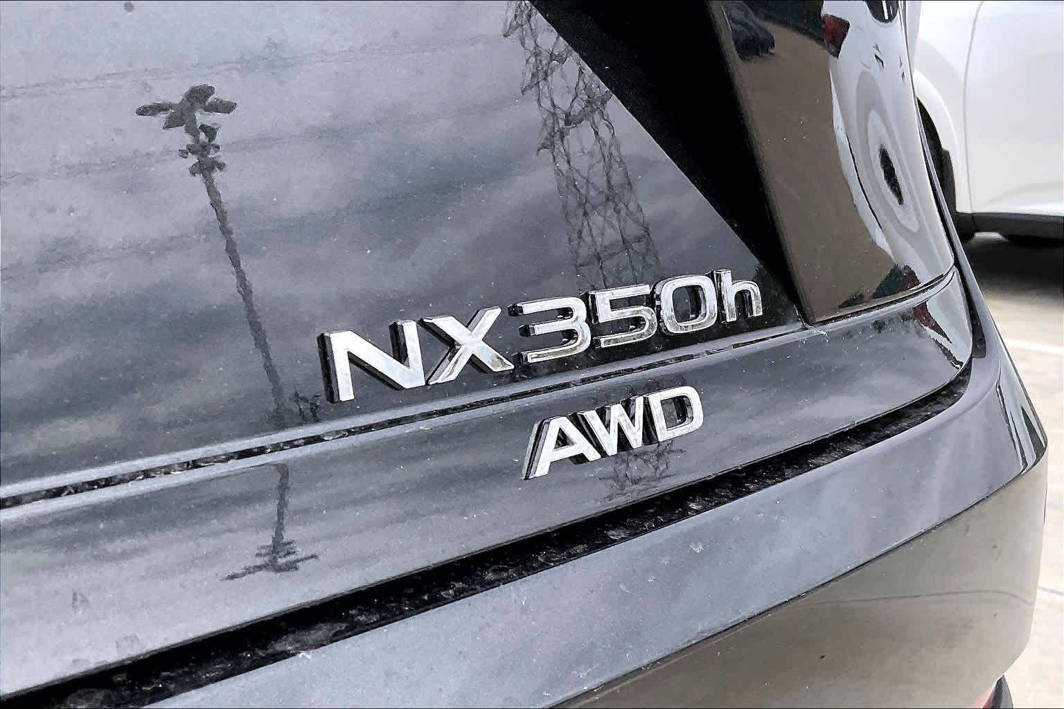 2026 Lexus NX Luxury  - 6