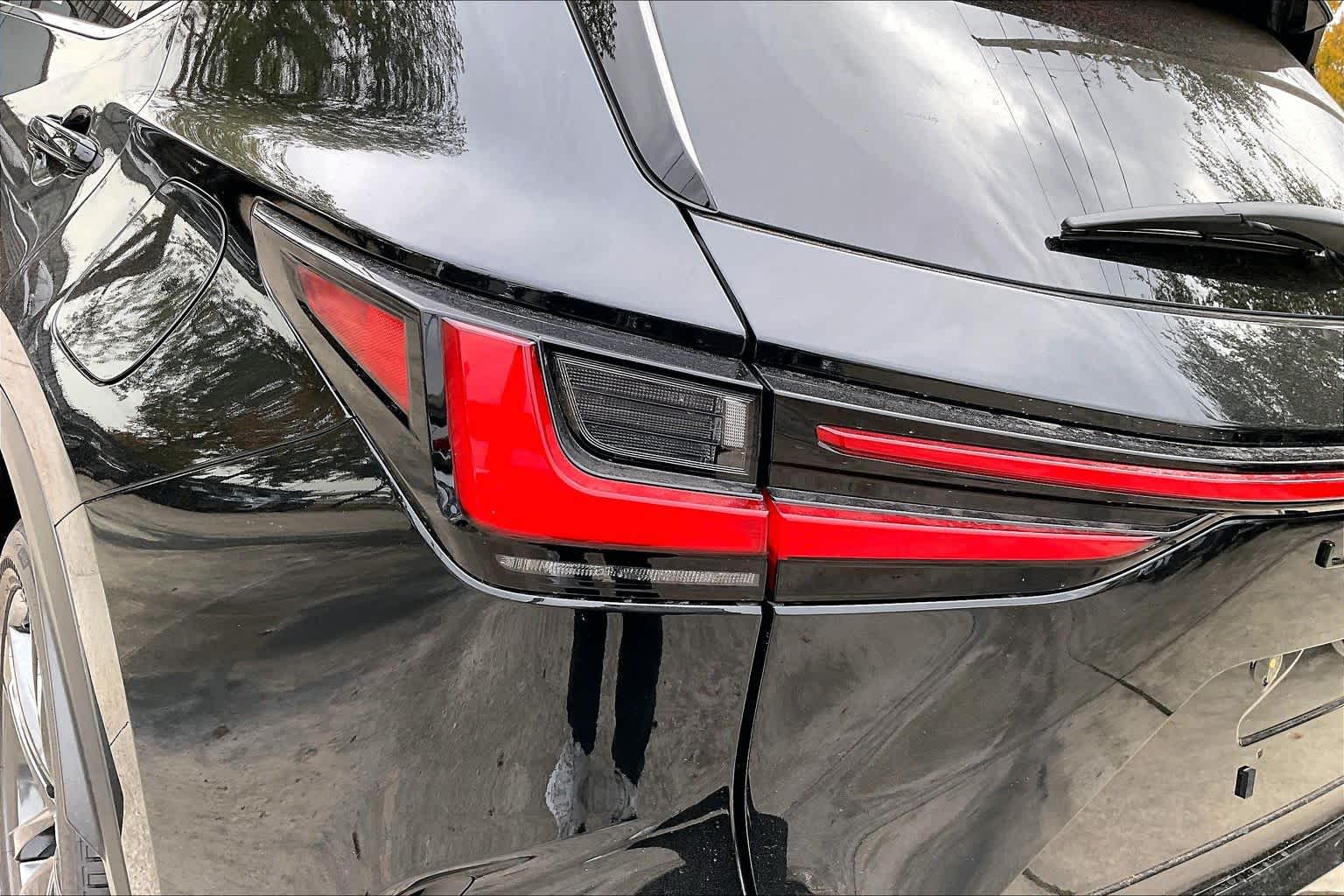 2026 Lexus NX Luxury  - 5