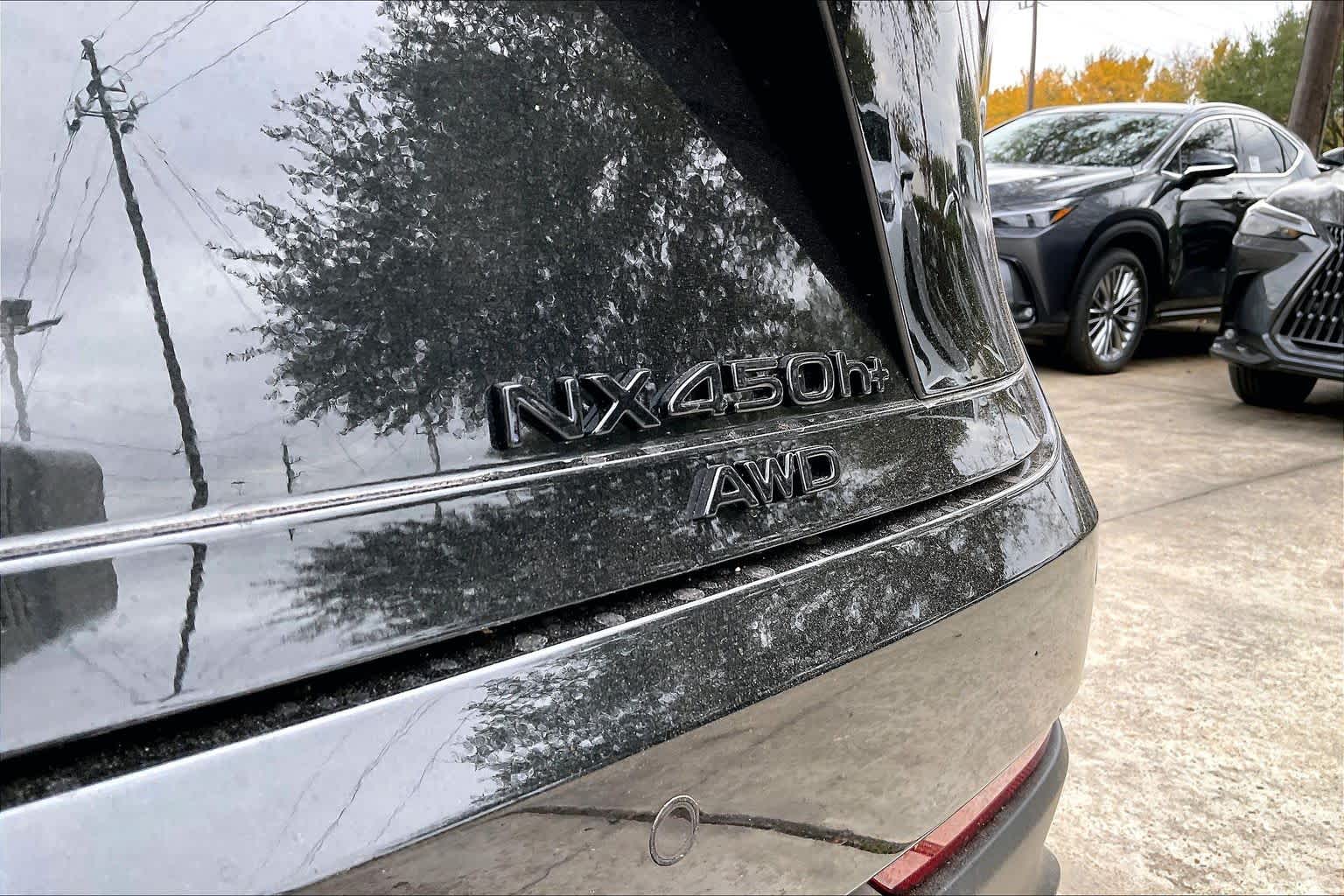 2026 Lexus NX Luxury  - 6