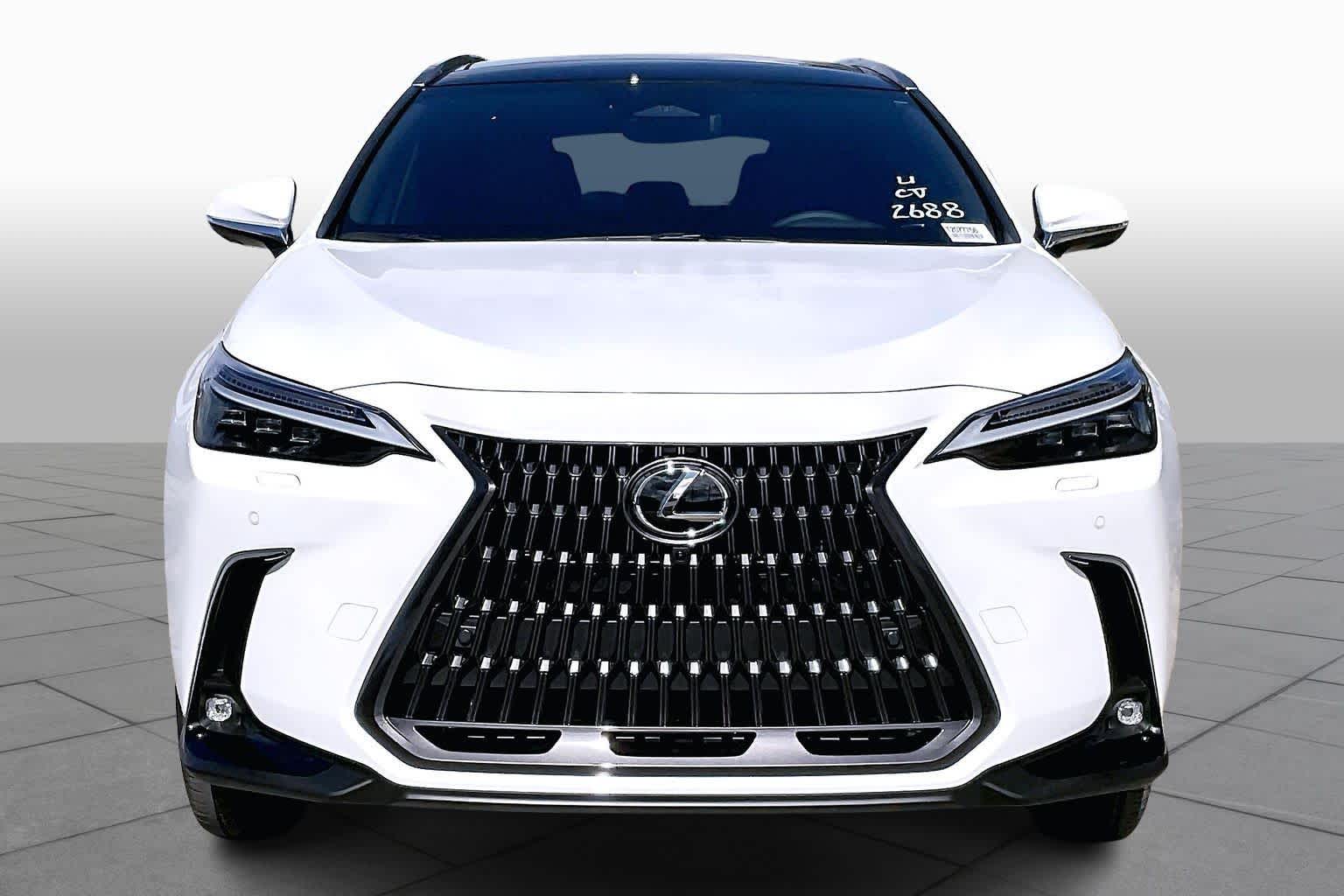 2026 Lexus NX Luxury  - 1