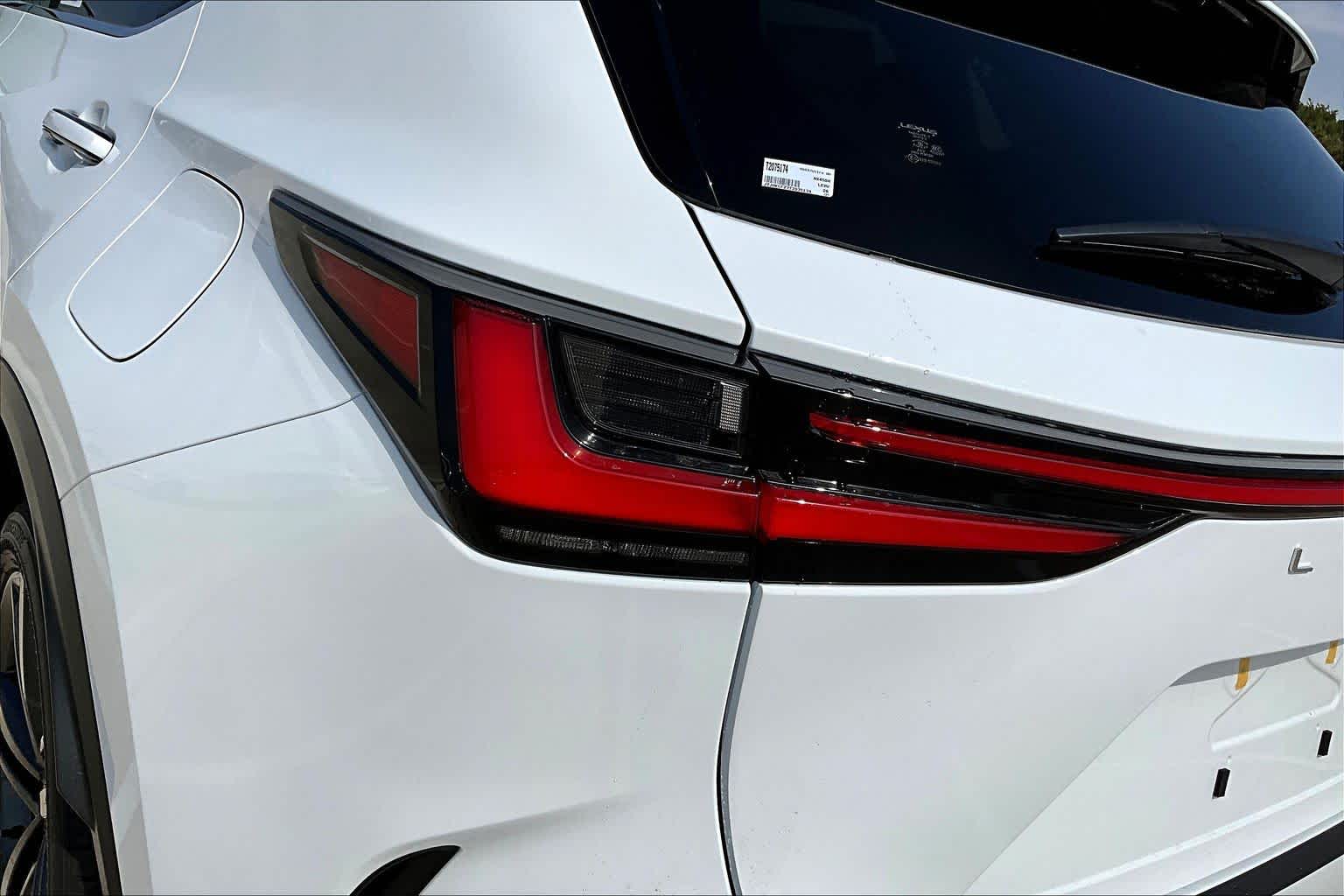 2026 Lexus NX Luxury  - 5