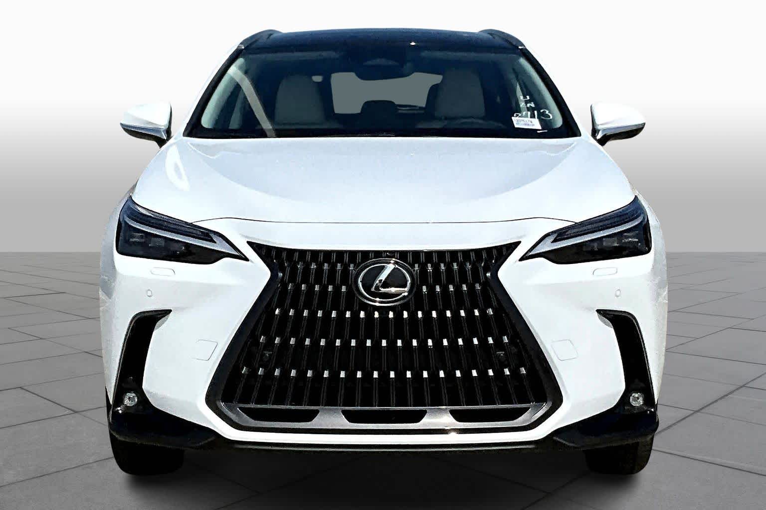 2026 Lexus NX Luxury  - 1
