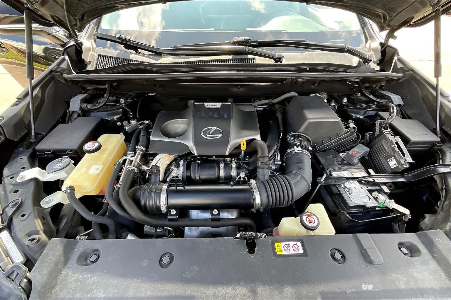 2019 Lexus NX  Caviar at AutoNation USA Katy