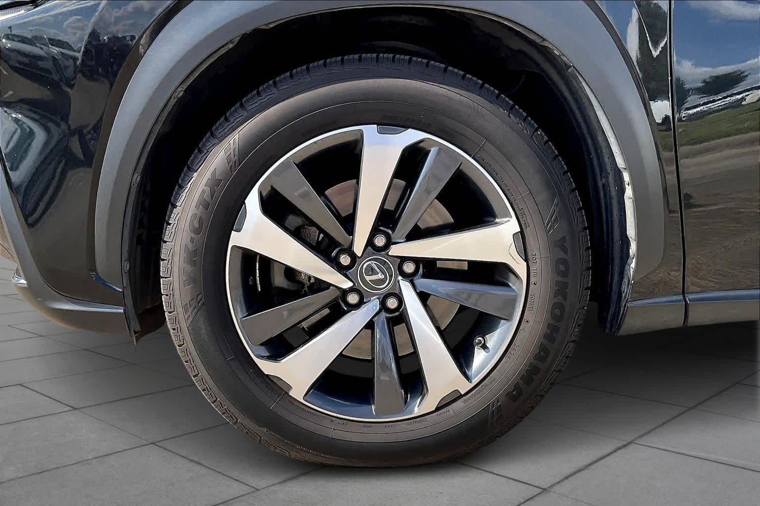 2019 Lexus NX  Caviar at AutoNation USA Katy