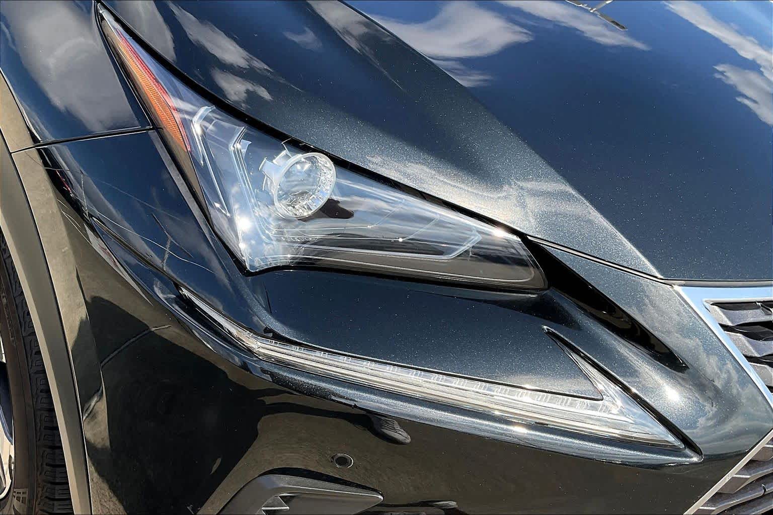 2019 Lexus NX  Caviar at AutoNation USA Katy