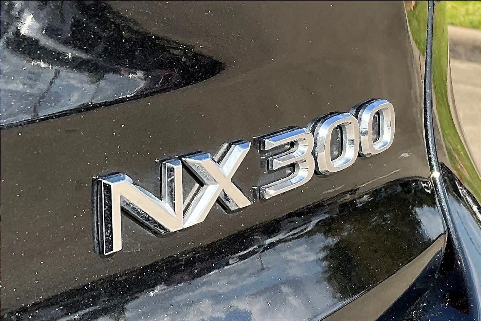 2019 Lexus NX  Caviar at AutoNation USA Katy