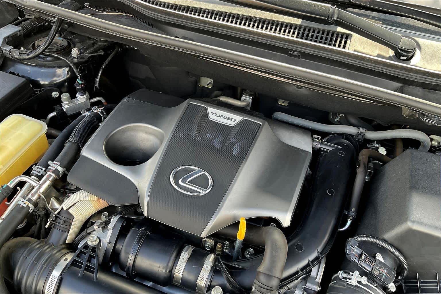 2019 Lexus NX  Caviar at AutoNation USA Katy