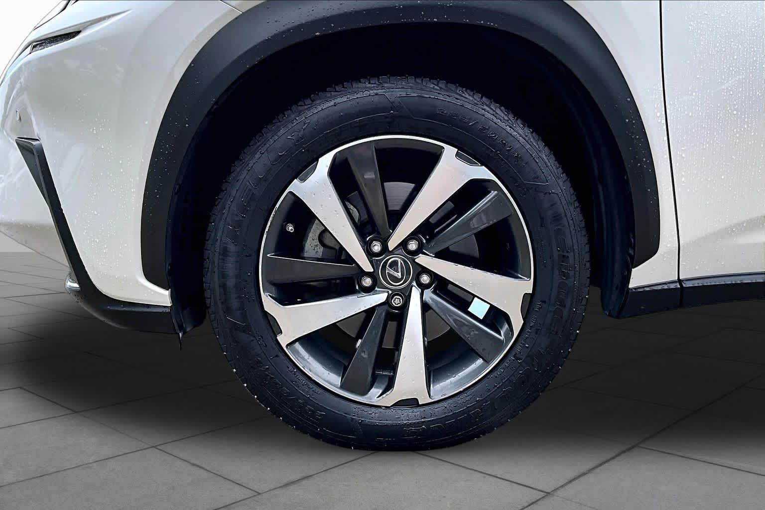 2019 Lexus NX 300  Eminent White Pearl at Group 1 GMC Buick South