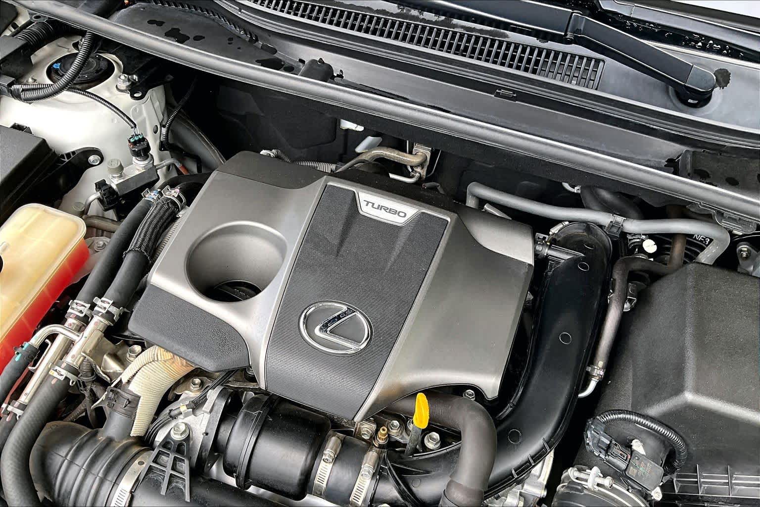 2019 Lexus NX 300  Eminent White Pearl at Group 1 GMC Buick South