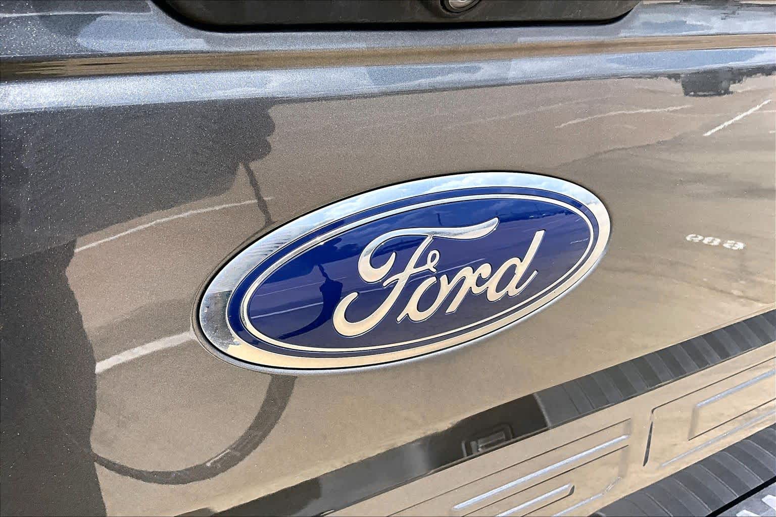 2019 Ford F-150 Raptor Magnetic Metallic at Group 1 Toyota Southwest