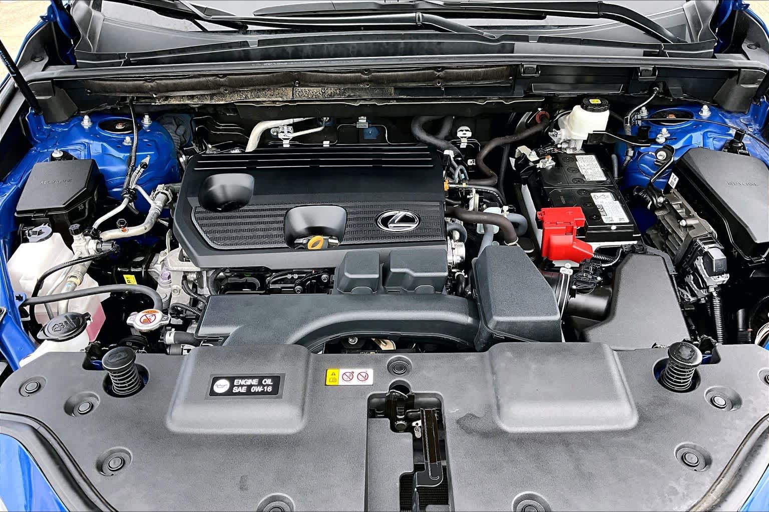 2024 Lexus NX 250  Grecian Water at Lexus of Clear Lake