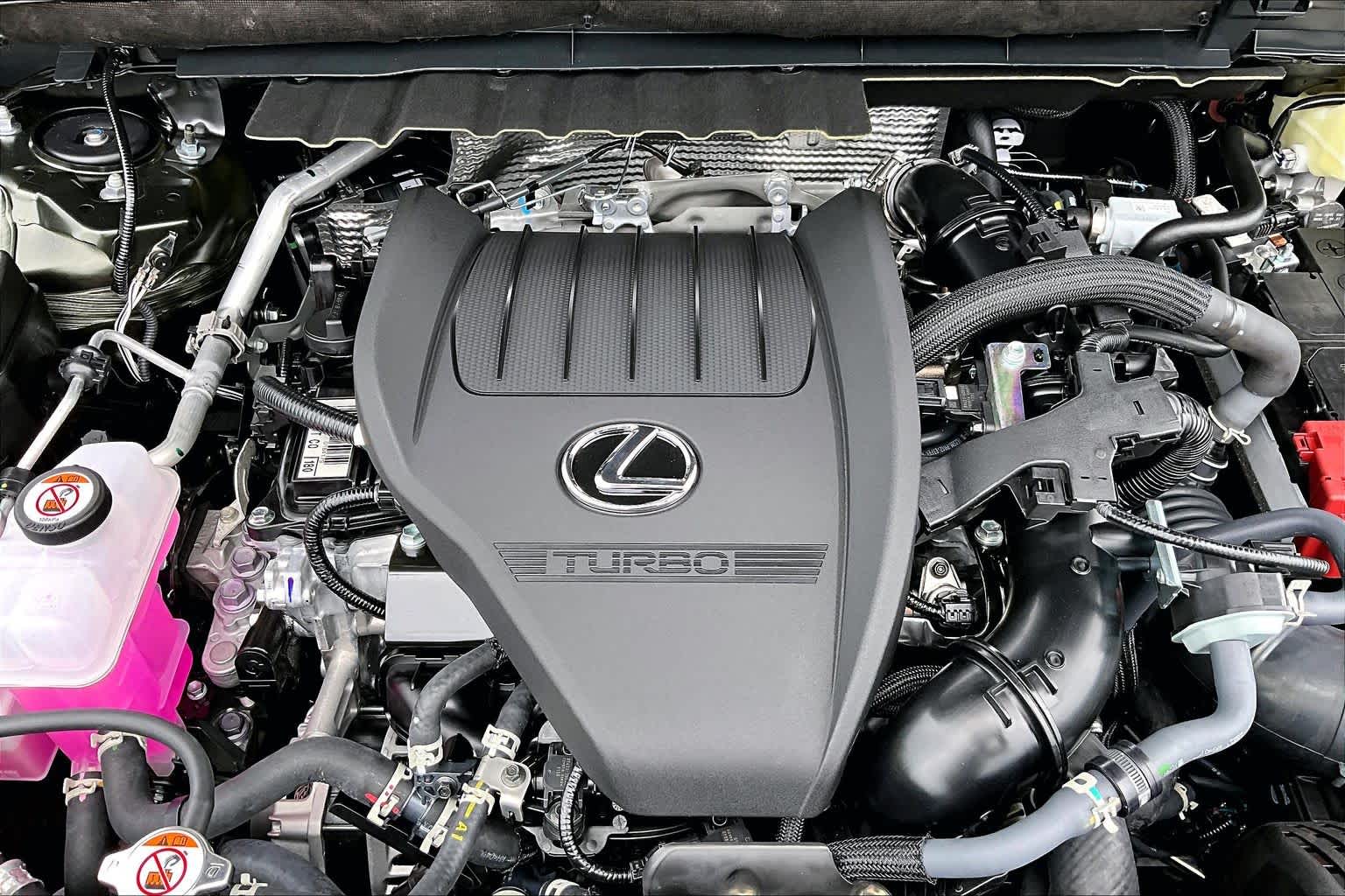 2026 Lexus NX 350 photo 17 of 22