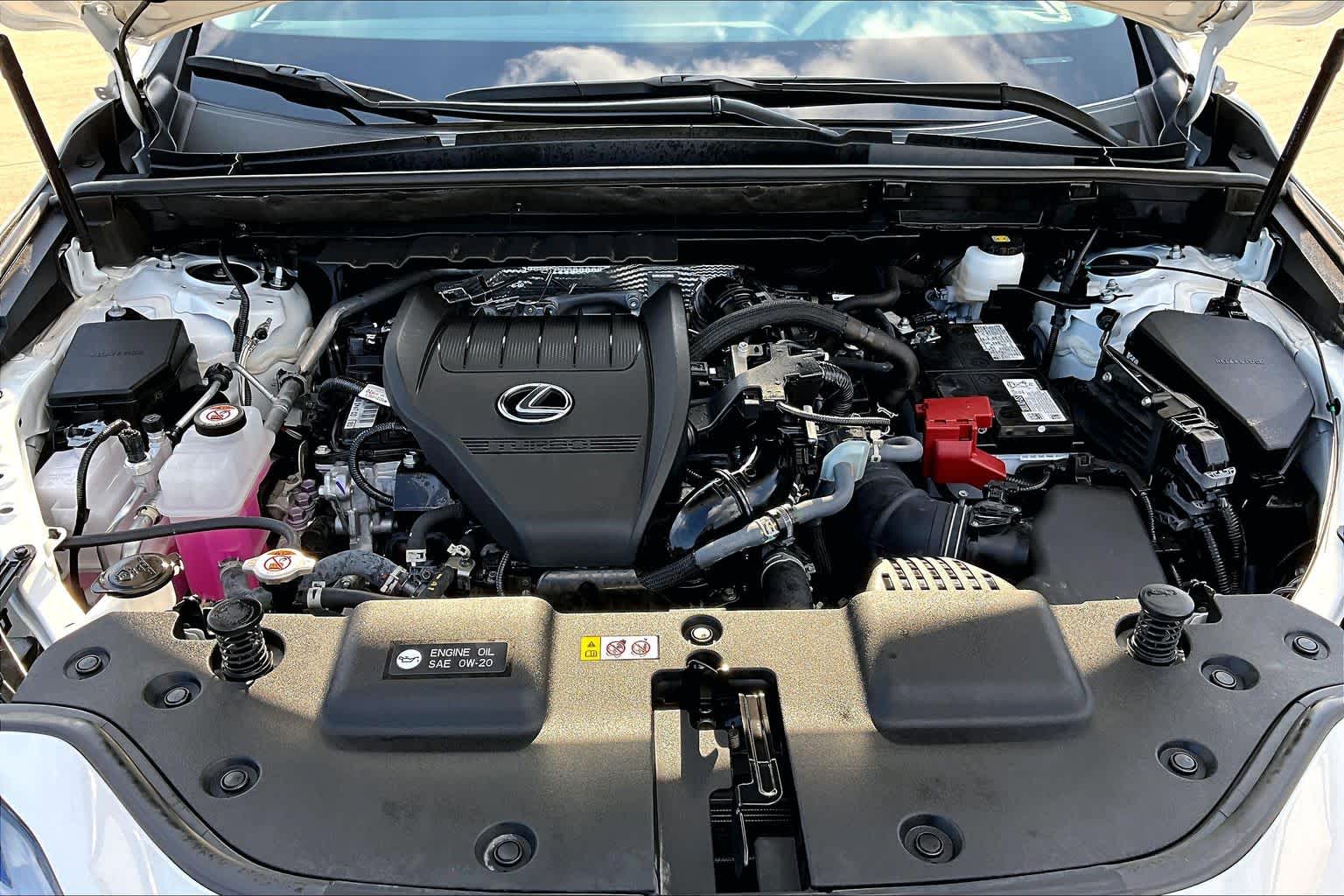 2026 Lexus NX 350 photo 32 of 37