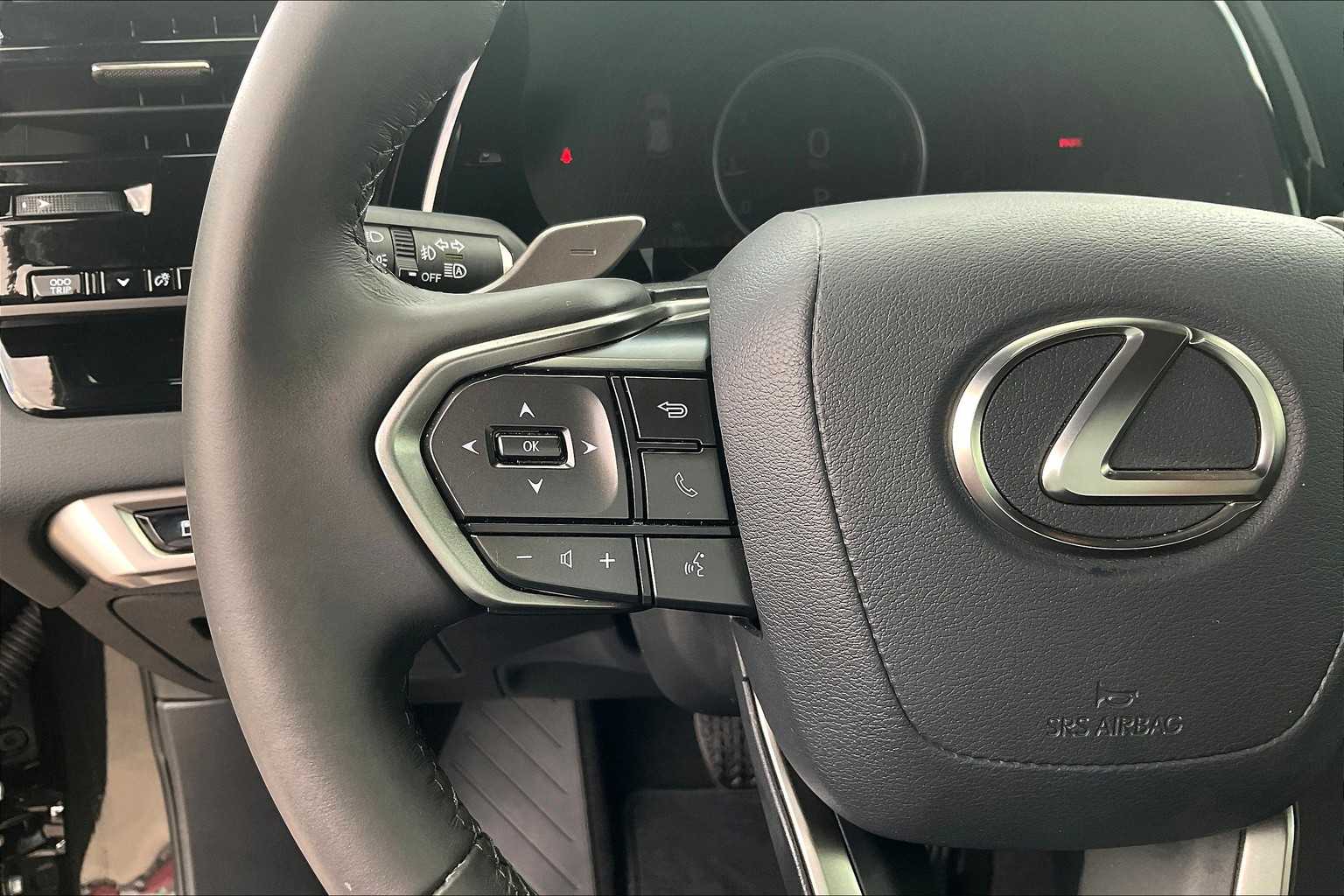 2024 Lexus RX  Caviar at Mercedes-Benz of Houston North