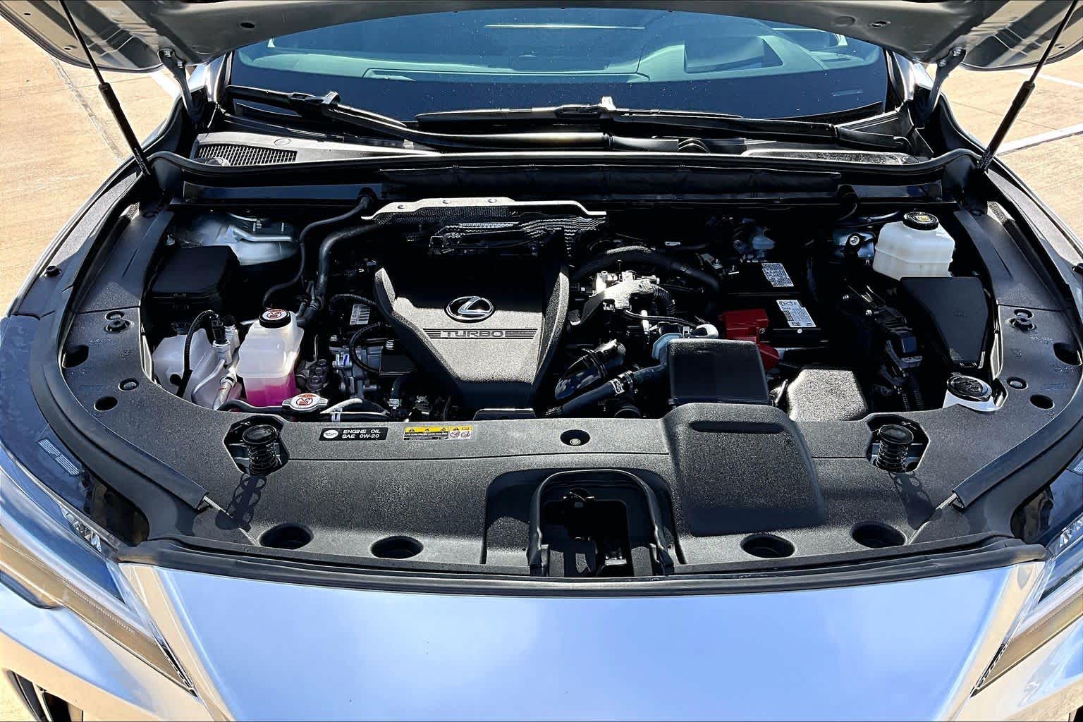 2025 Lexus RX Premium Plus  Iridium at Lexus of Clear Lake