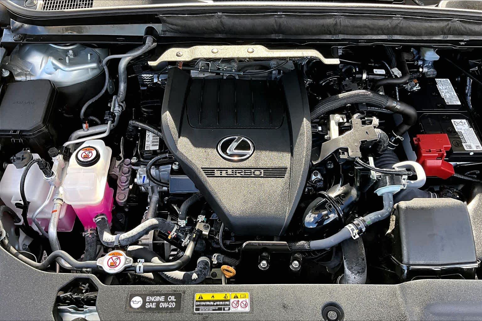 2025 Lexus RX Premium Plus  Iridium at Lexus of Clear Lake