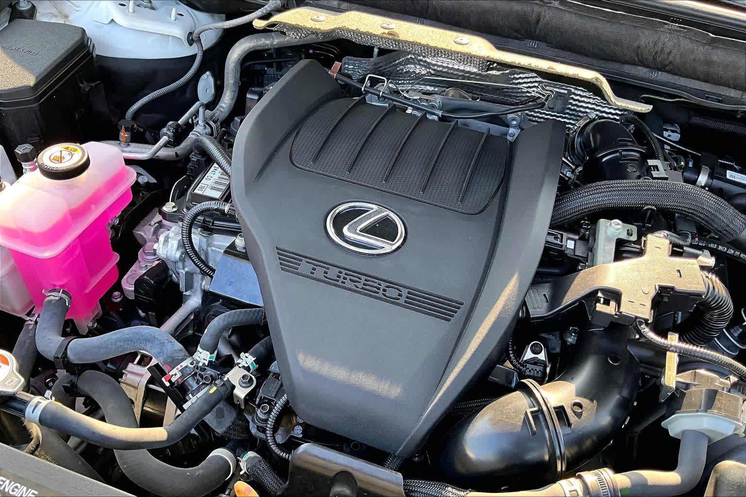 2025 Lexus RX 350 photo 30 of 34