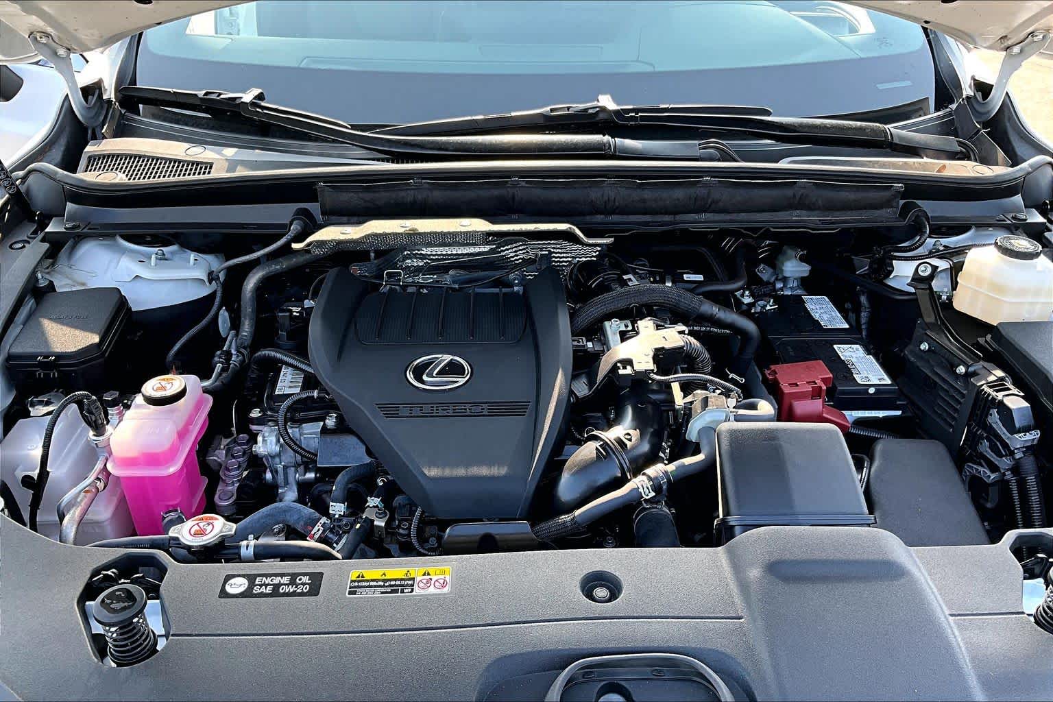 2025 Lexus RX 350 photo 29 of 34