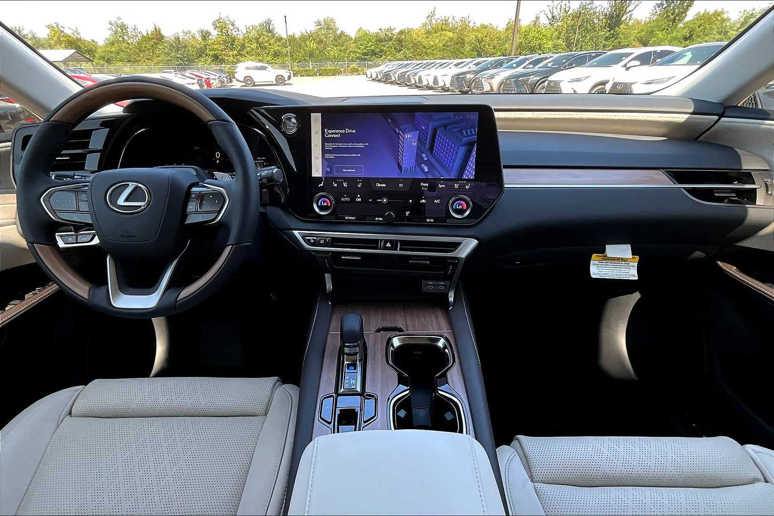 2025 Lexus RX Luxury  - 4
