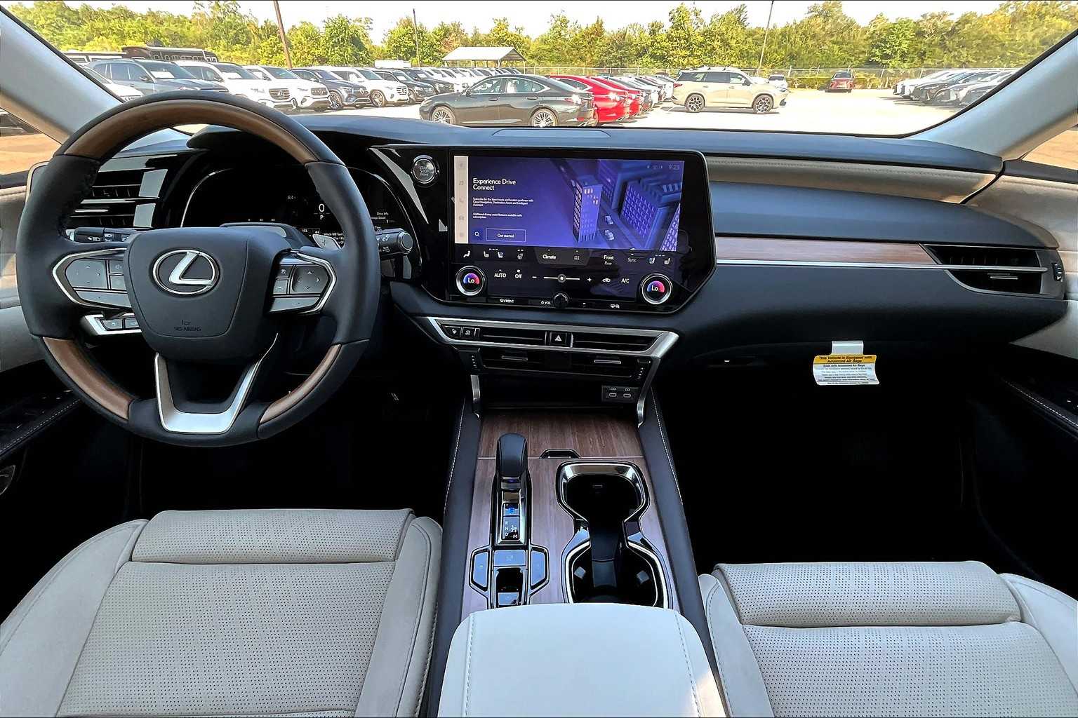 2025 Lexus RX Luxury  - 4