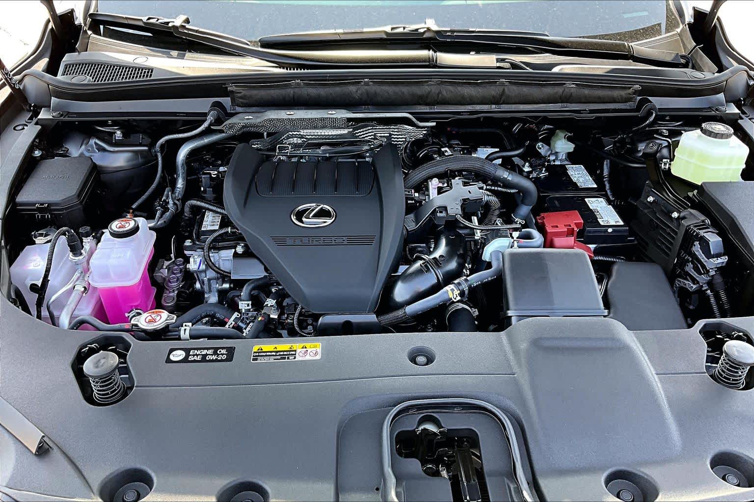 2026 Lexus RX 350 photo 16 of 20