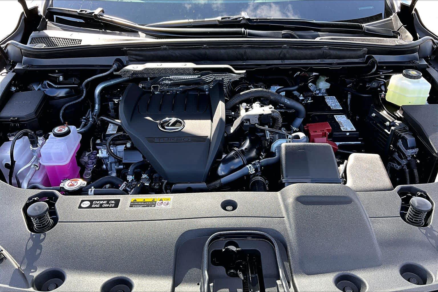 2026 Lexus RX 350 photo 16 of 20