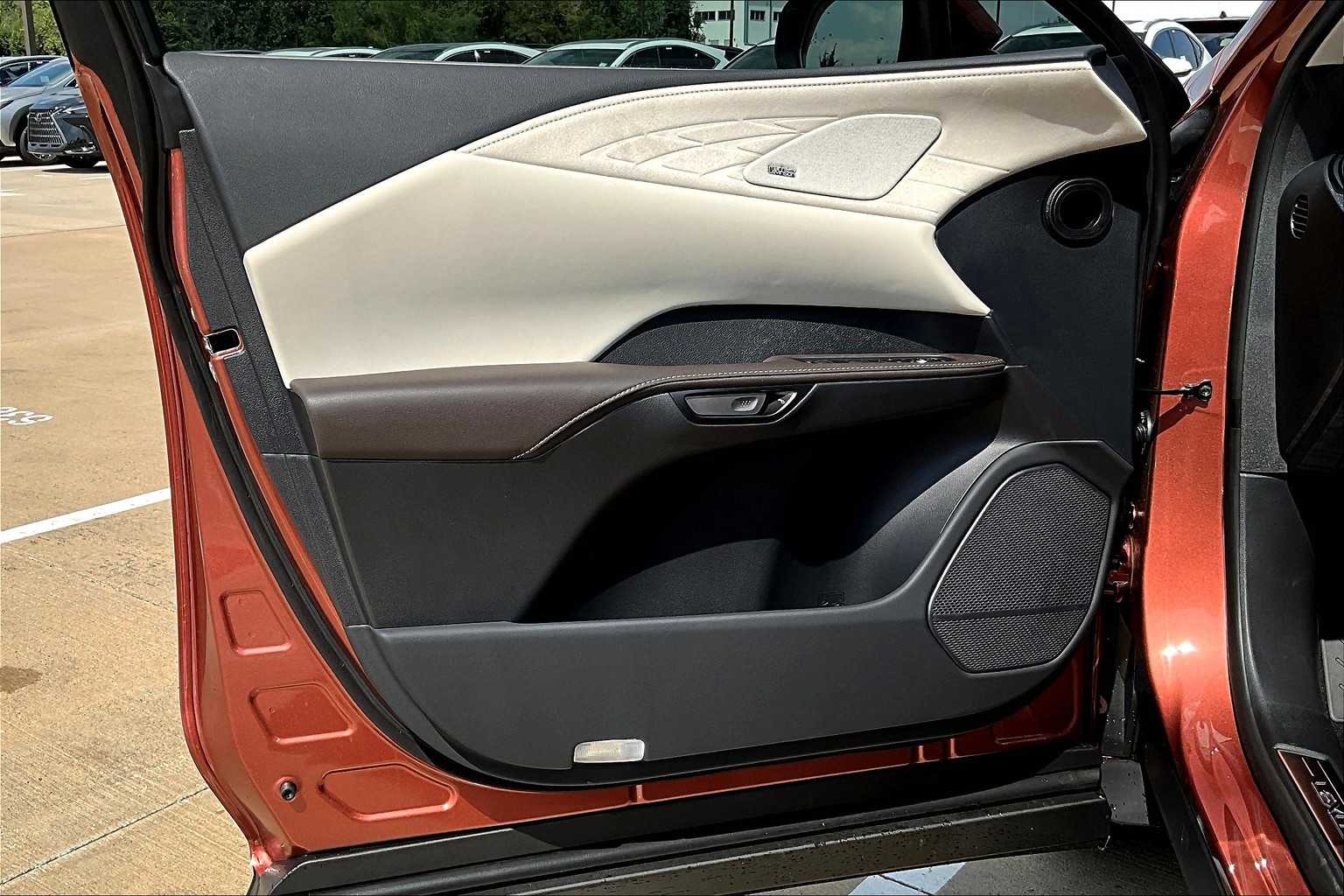 2025 Lexus RX Luxury  - 9