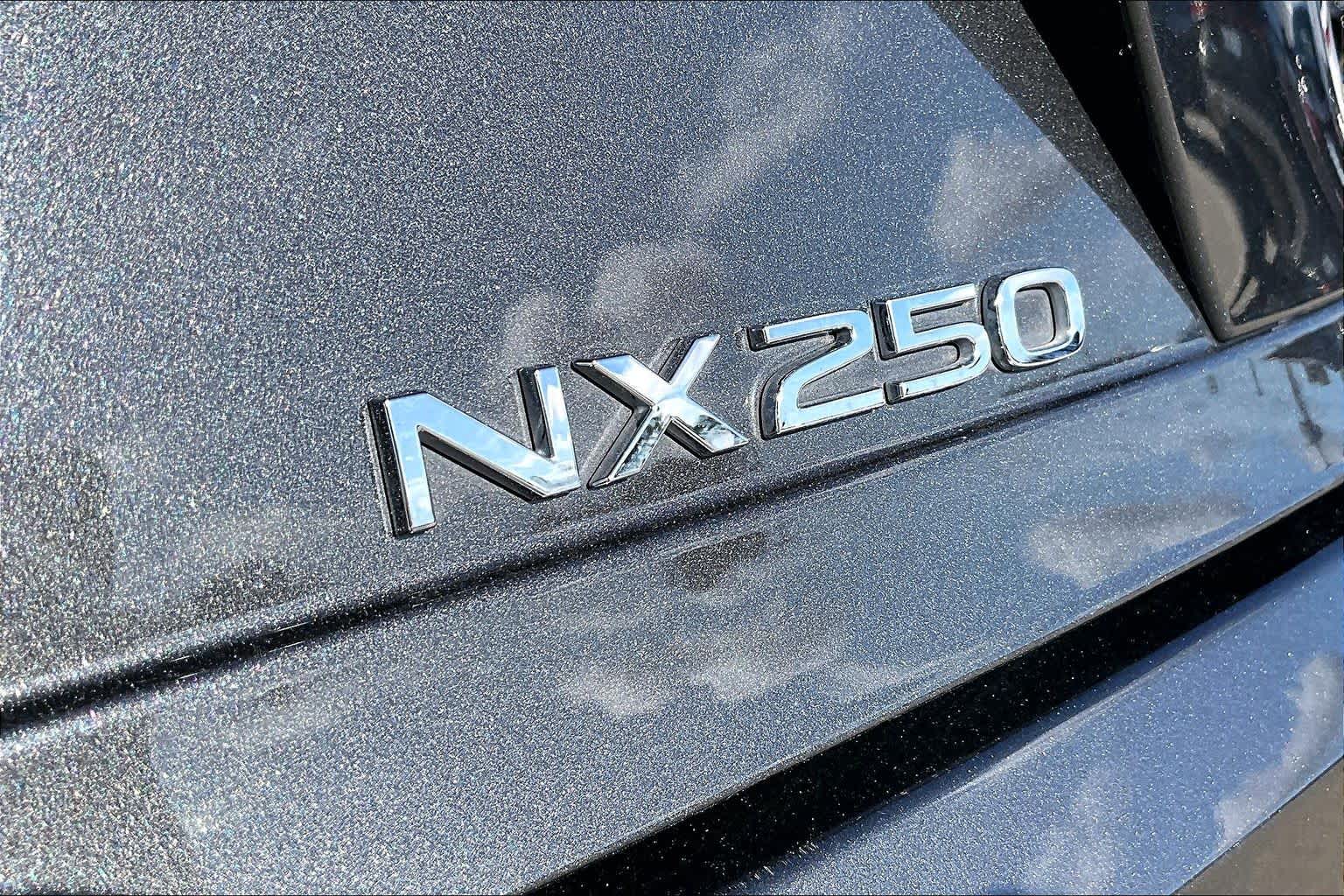 2025 Lexus NX Premium  Cloudburst Gray at Lexus Southwest Houston