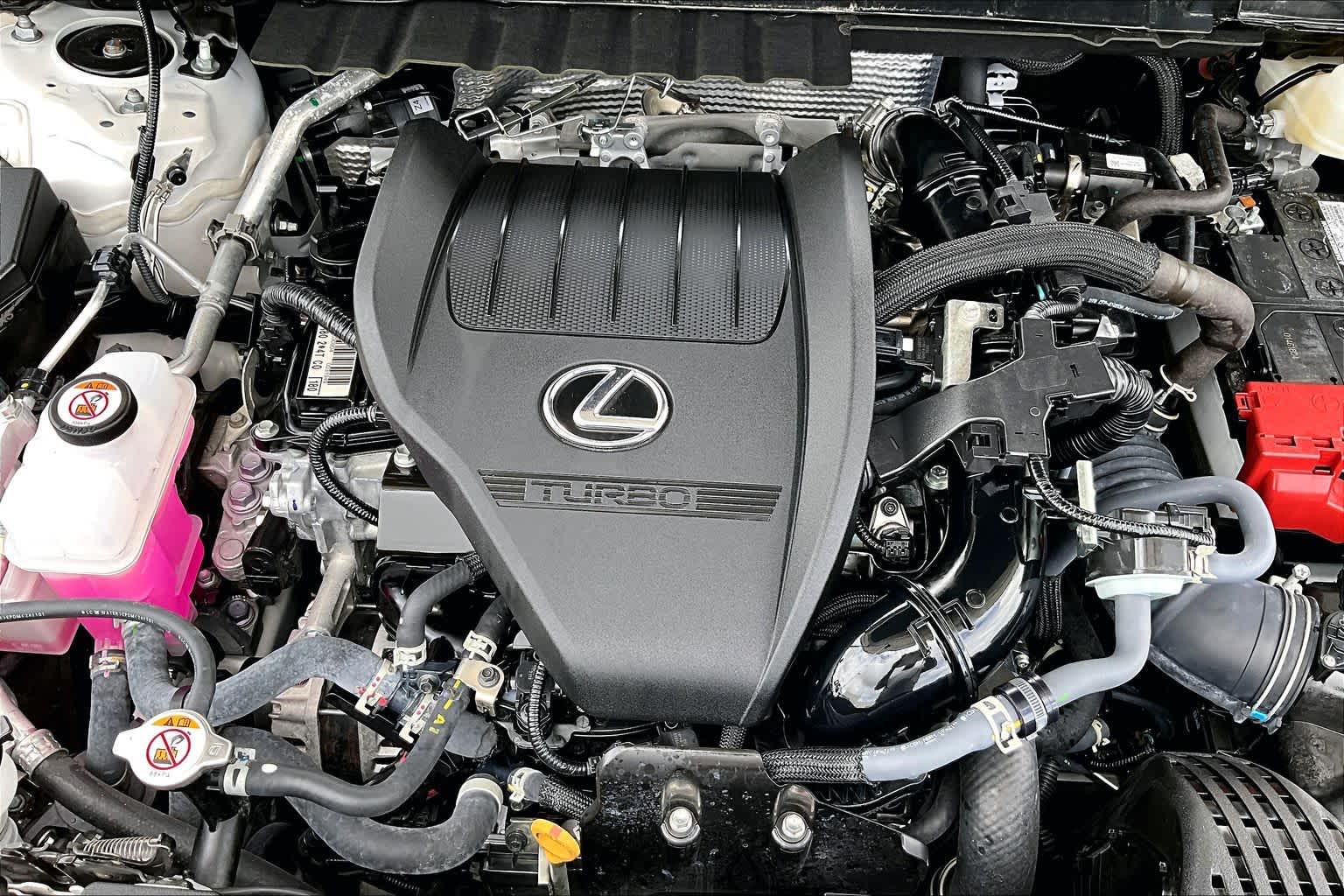 2025 Lexus NX 350 Premium  Eminent White Pearl at Lexus of Clear Lake