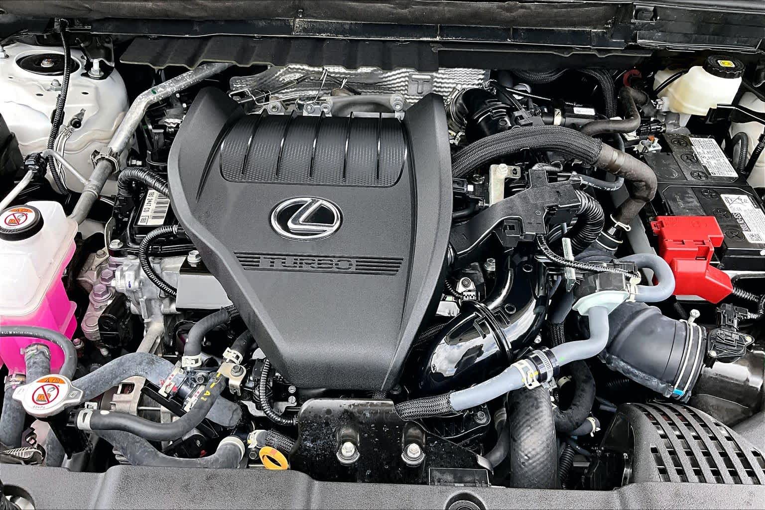 2025 Lexus NX 350 Premium  Eminent White Pearl at Lexus of Clear Lake