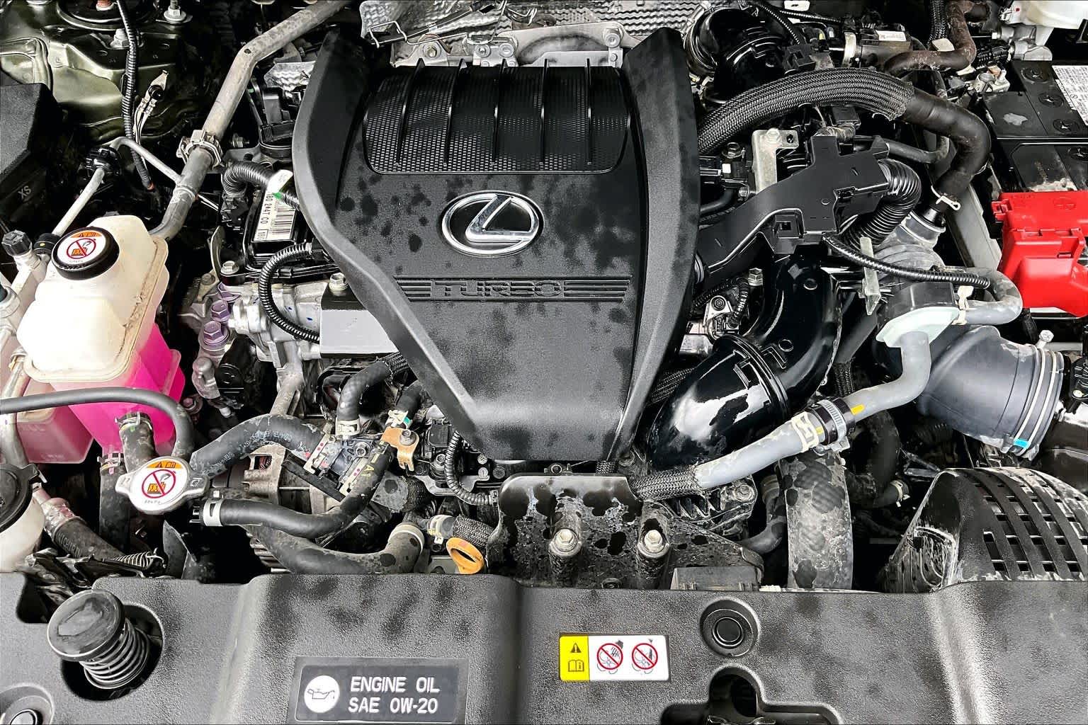 2023 Lexus NX 350 Premium  Nori Green Pearl at Lexus Southwest Houston
