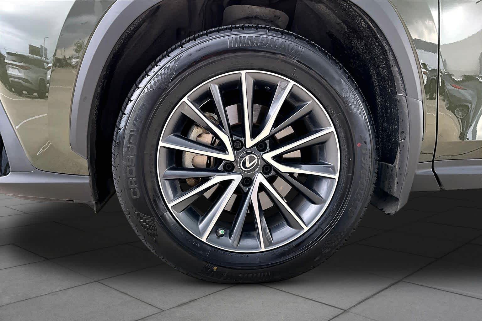 2023 Lexus NX 350 Premium  Nori Green Pearl at Lexus Southwest Houston