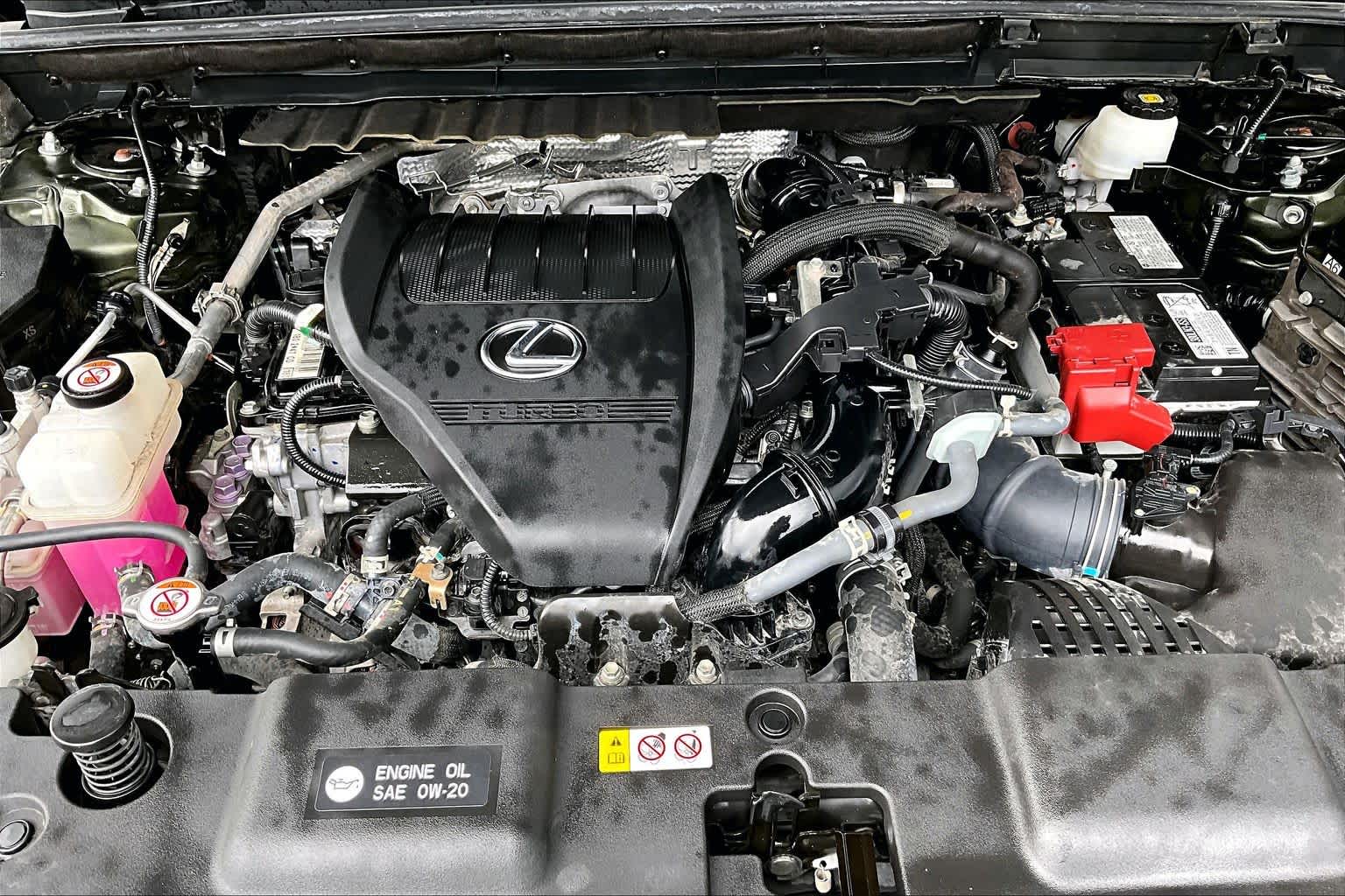 2023 Lexus NX 350 Premium  Nori Green Pearl at Lexus Southwest Houston