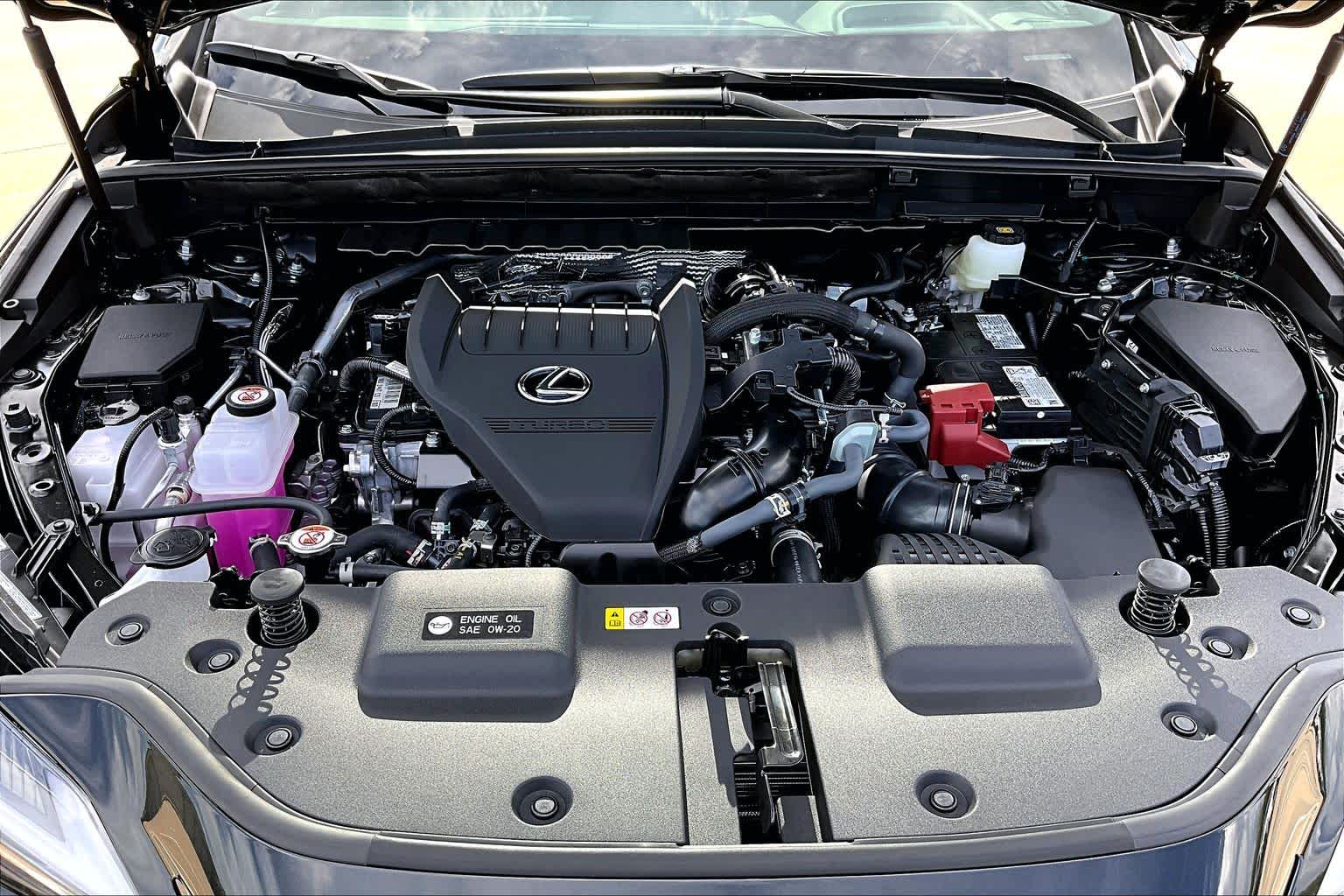 2026 Lexus NX 350 photo 16 of 22