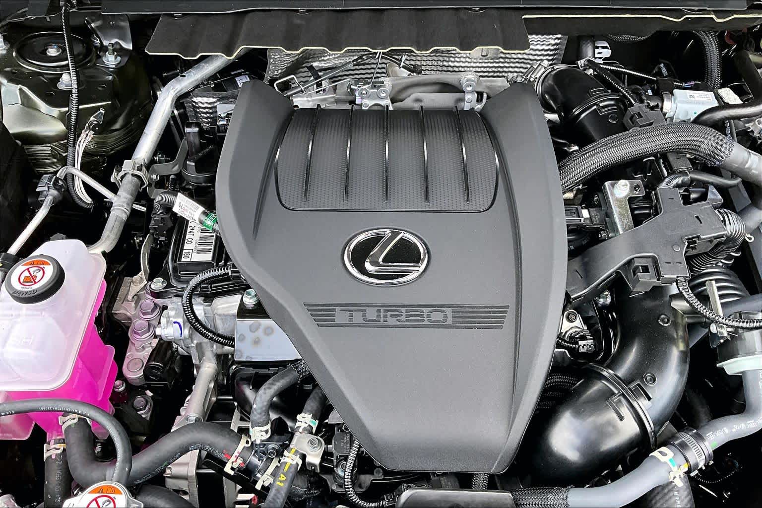 2026 Lexus NX 350 photo 17 of 20