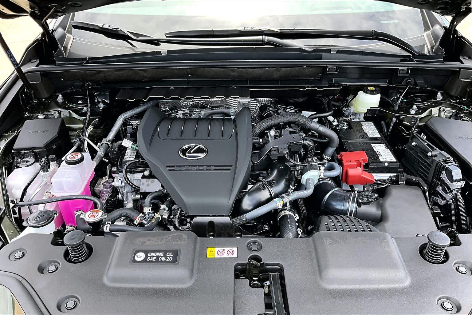 2026 Lexus NX 350 photo 16 of 20