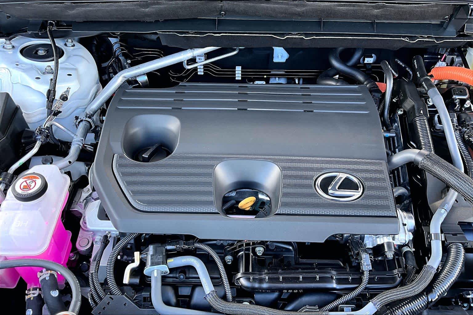 2026 Lexus NX 350h photo 17 of 22
